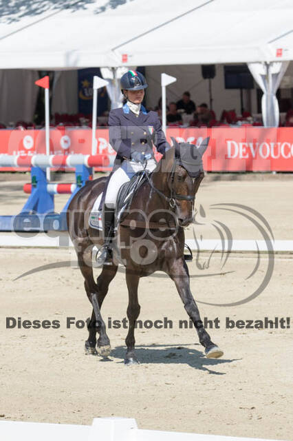 FEI European Championship