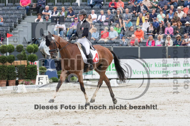 FEI European Championship Eventing 2019