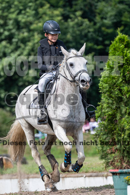 Goldene Schärpe 2021 - Ponys