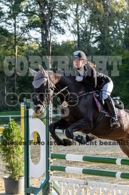 RFV Dinslaken-Hiesfeld (Herbstturnier)