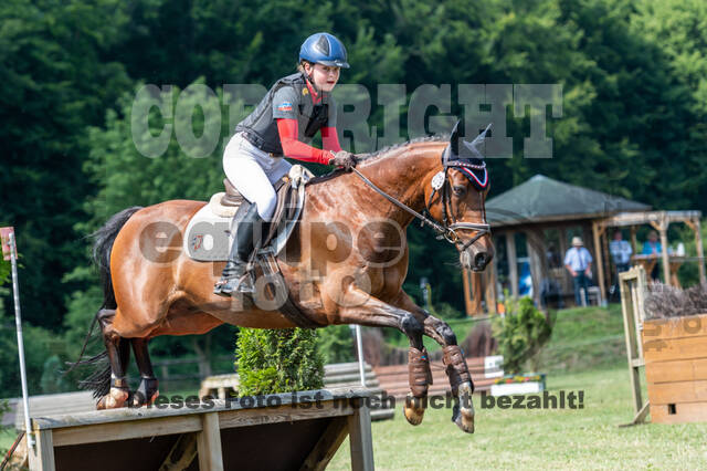 Goldene Schärpe 2021 - Ponys