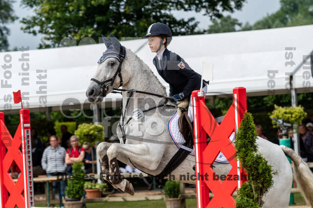 Goldene Schärpe 2021 - Ponys