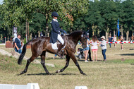 Kronenberg - De Peelbergen (August 2020)
