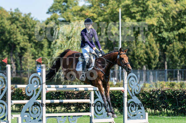 Kronenberg - De Peelbergen (August 2020)