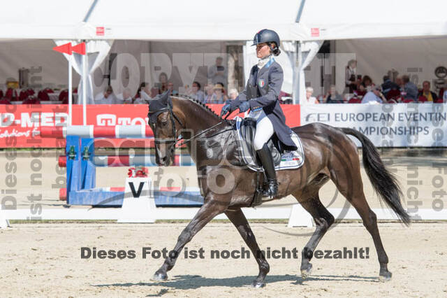 FEI European Championship