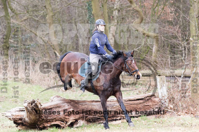 Geländetrainings RSV St. Hubertus Wesel Obrighoven