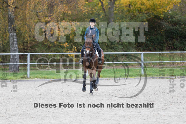IGV Lehrgang der Sieger der Cups mit Frank Ostholt