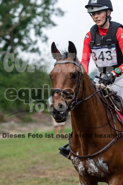 De Peelbergen (August 2020)