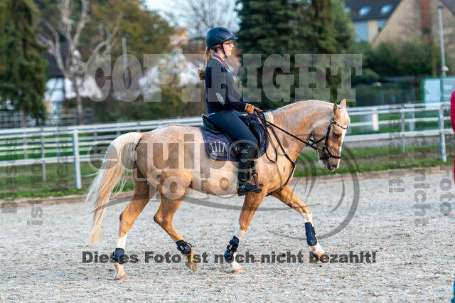 IGV Lehrgang der Sieger der Cups mit Frank Ostholt