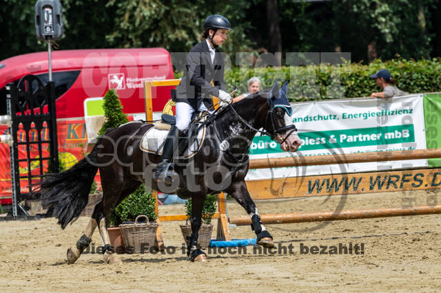 Goldene Schärpe 2021 - Ponys