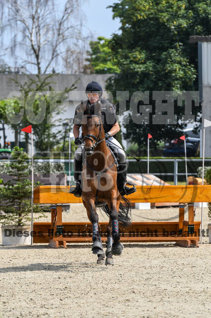 Late-Entry-Vielseitigkeit Langenfeld (11.+13./14.06.2020)