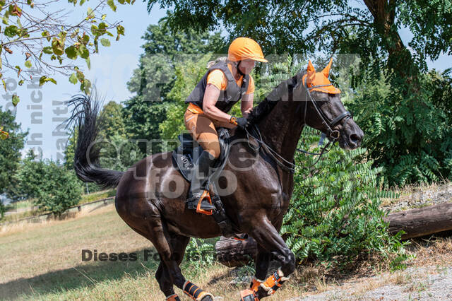Hunter Geländetraining (16.08.2020)