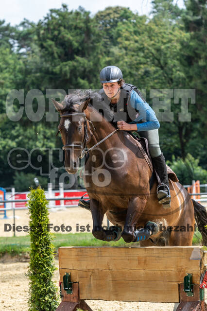 Hunter Geländetraining 10.07.2021 (Sonsbeck)