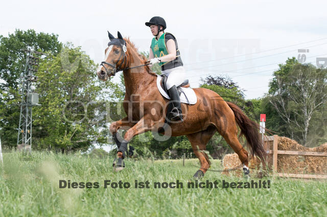 Vielseitigkeitsturnier ZRuFV von Lützow Hamminkeln