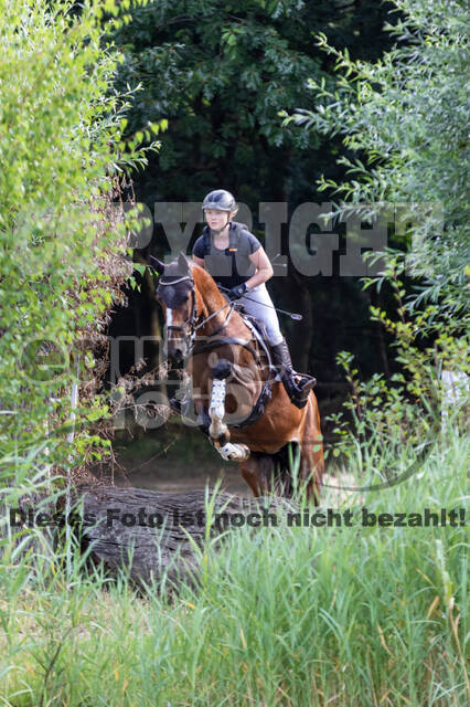 Late-Entry Vielseitigkeit Hamminkeln/Wesel (01.+02.08.2020)