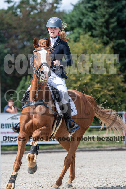 Landesturnier Rheinland, Vielseitigkeit, 22.+23.08.2020