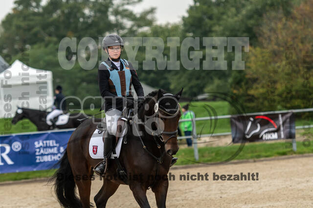 Goldene Schärpe 2020 - Pferde