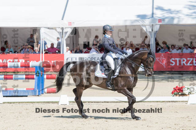 FEI European Championship