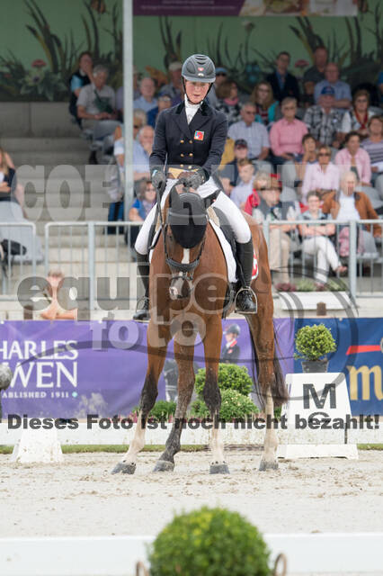 FEI European Championship Eventing 2019