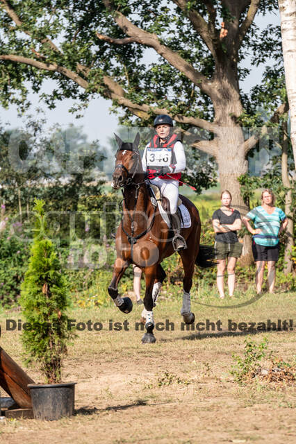 De Peelbergen (August 2020)