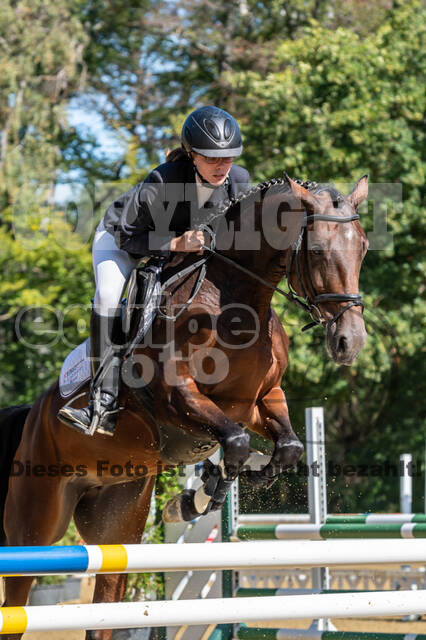 RFV Dinslaken-Hiesfeld (Herbstturnier)