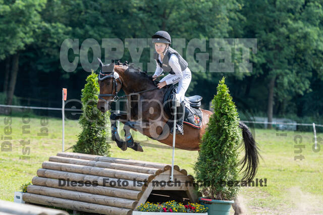 Goldene Schärpe 2021 - Ponys