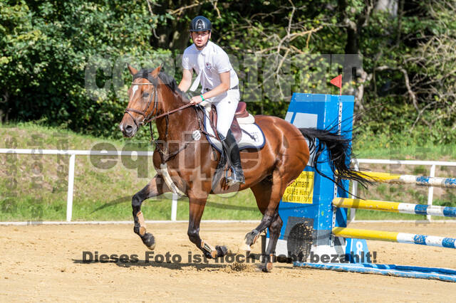RFV Dinslaken-Hiesfeld (Herbstturnier)