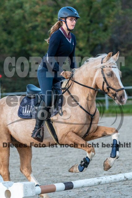 IGV Lehrgang der Sieger der Cups mit Frank Ostholt