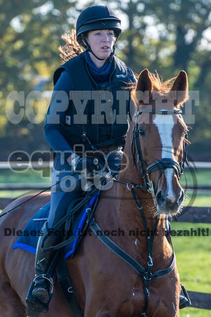 Vielseitigkeitslehrgang mit Jürg Kurbel (9.+10.11.2019)