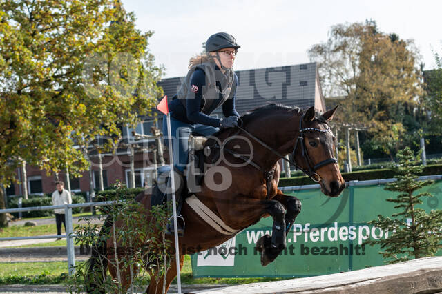 IGV Lehrgang der Sieger der Cups mit Frank Ostholt