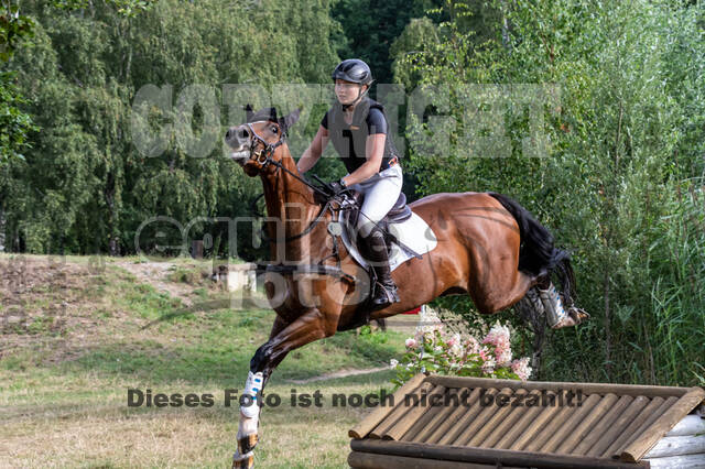 Late-Entry Vielseitigkeit Hamminkeln/Wesel (01.+02.08.2020)