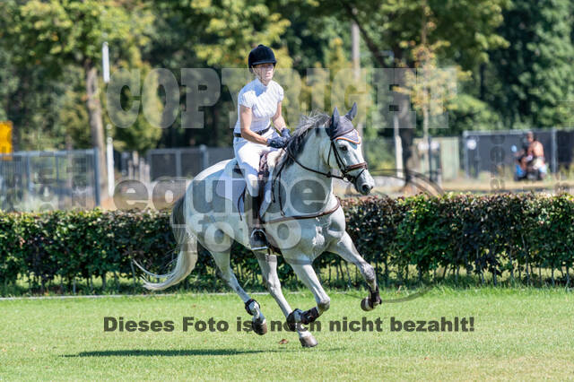 Kronenberg - De Peelbergen (August 2020)