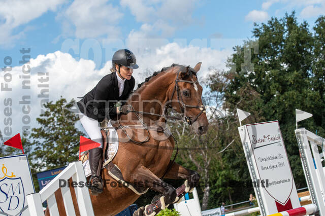 Landesturnier Rheinland, Vielseitigkeit, 22.+23.08.2020