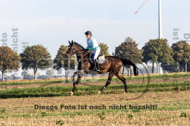 IGV Kleve - Vielseitigkeitsturnier