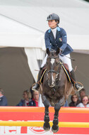 FEI European Championship
