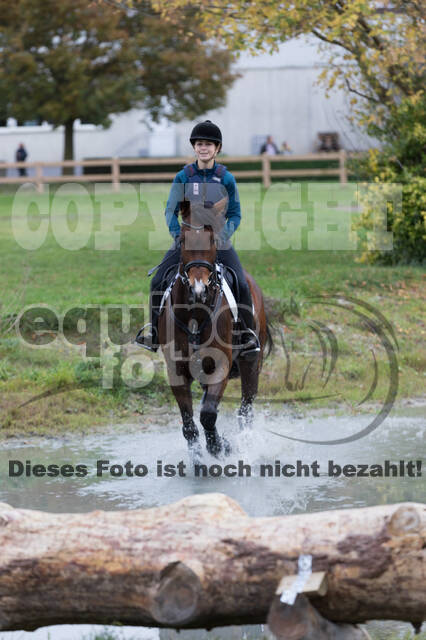 IGV Lehrgang der Sieger der Cups mit Frank Ostholt
