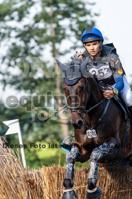 De Peelbergen (August 2020)