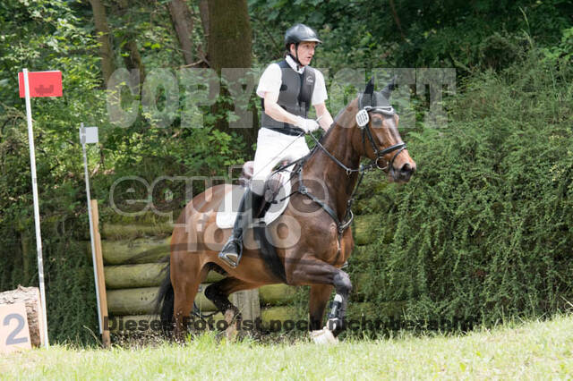 Vielseitigkeitsturnier Bad Honnef