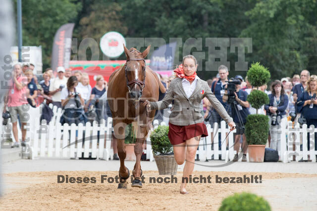 FEI European Championship Eventing 2019
