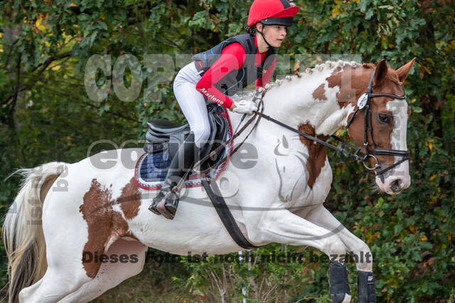 Goldene Schärpe 2020 - Pferde