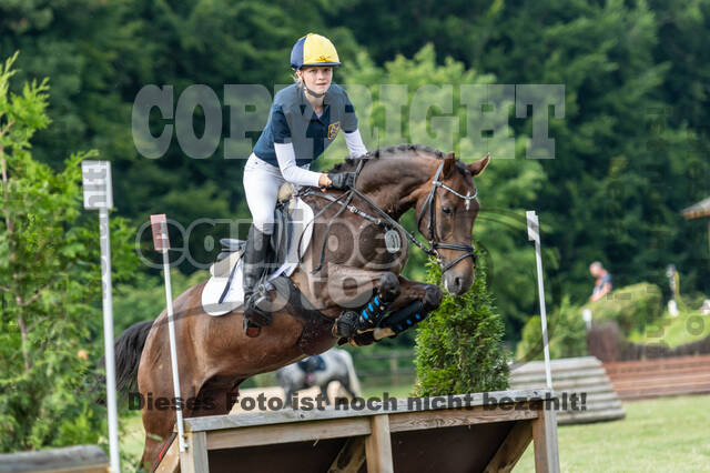 Goldene Schärpe 2021 - Ponys