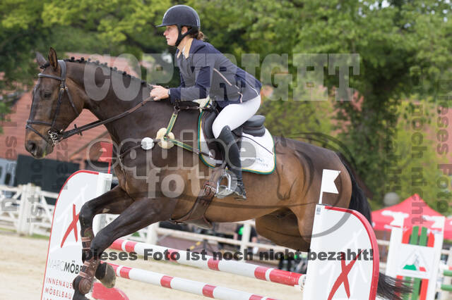 Sterne über Münster 2019 - CCI***S