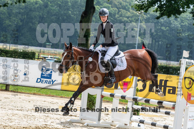 Goldene Schärpe 2021 - Ponys