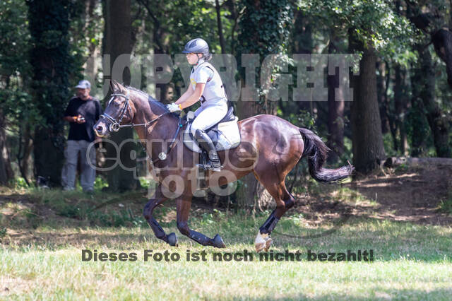 Late-Entry Vielseitigkeit Hamminkeln/Wesel (01.+02.08.2020)