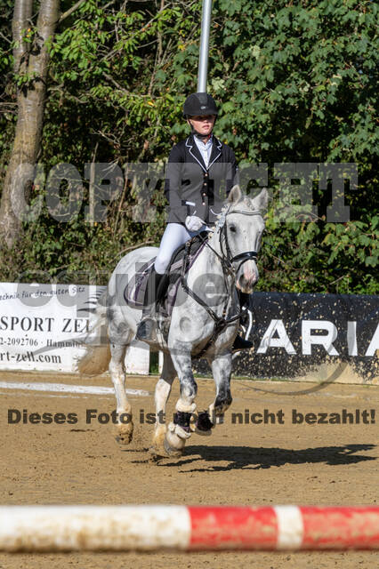 RFV Dinslaken-Hiesfeld (Herbstturnier)