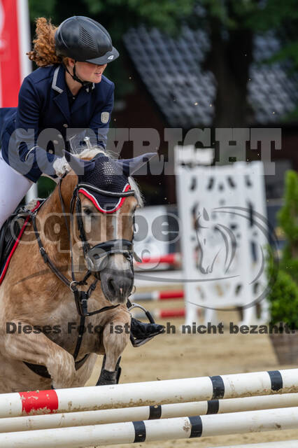 Goldene Schärpe 2021 - Ponys
