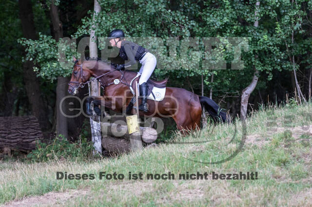 Late-Entry Vielseitigkeit Hamminkeln/Wesel (01.+02.08.2020)