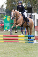 IGV Kleve