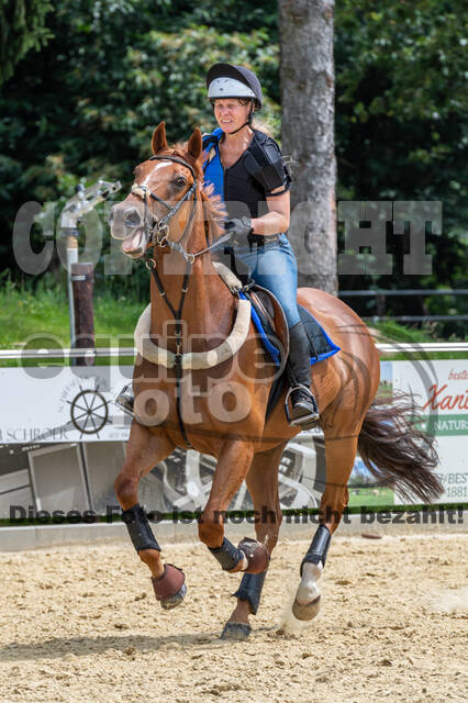 Hunter Geländetraining 10.07.2021 (Sonsbeck)