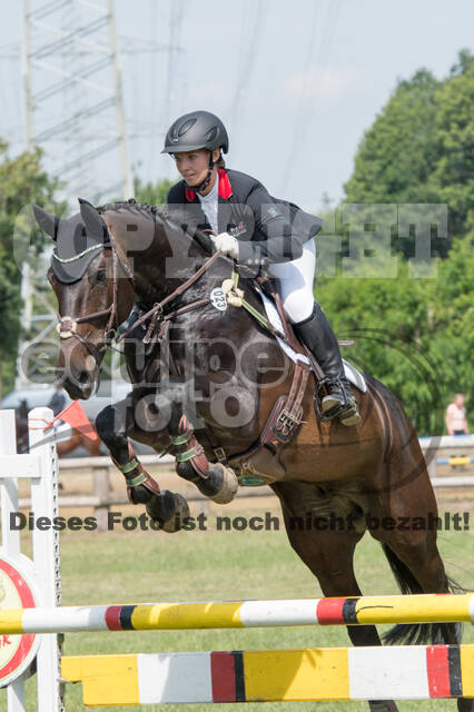 Vielseitigkeitsturnier ZRuFV von Lützow Hamminkeln